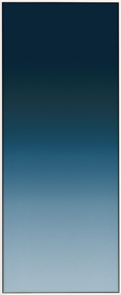 Natural Curiosities Ombre Wall Art