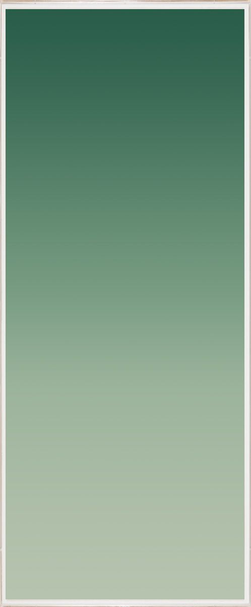 Natural Curiosities Ombre Wall Art