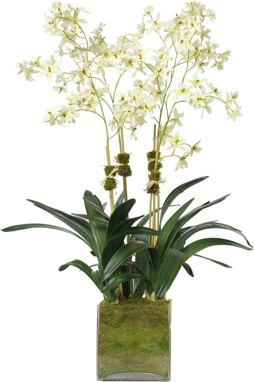 Diane James Cream Oncidium Orchids Bouquet