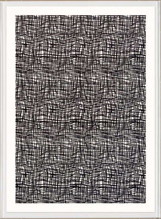 Natural Curiosities Opposites Art Series