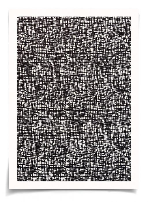 Natural Curiosities Opposites Art Series