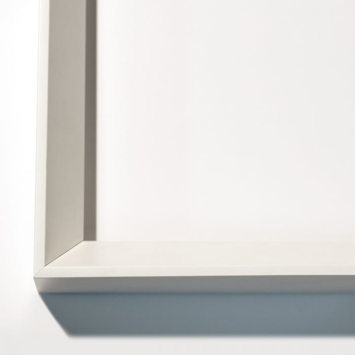 Natural Curiosities Victoria Mounted Feathers Art