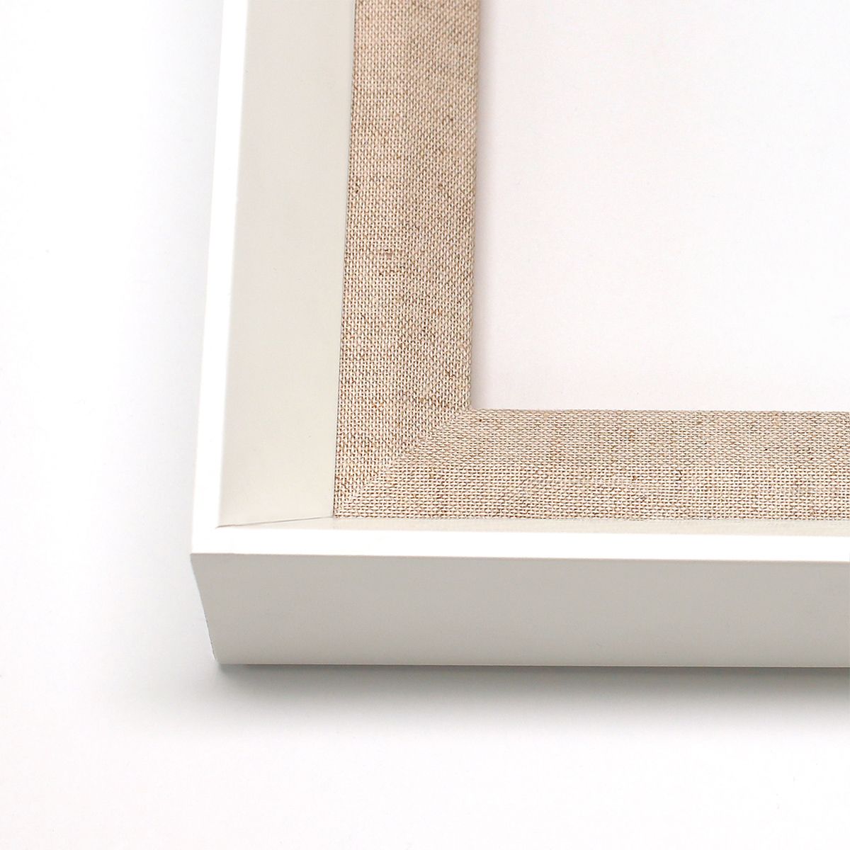 Natural Curiosities Bennet Fish 1, Art