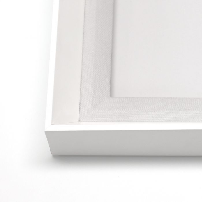 Natural Curiosities Animals in Motion, Doves No. 1 Art