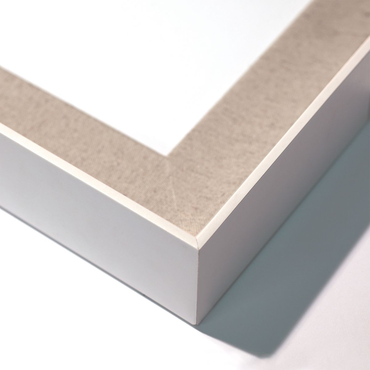 Natural Curiosities Modern Paradise Art, Modern Palms