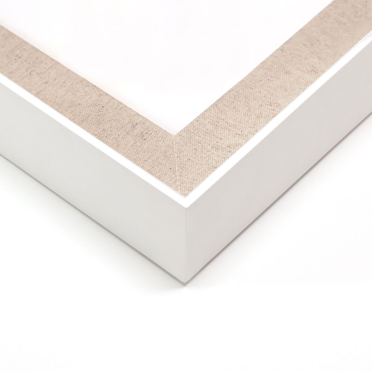 Natural Curiosities Historical Botanicals Art Series 2, No. 2