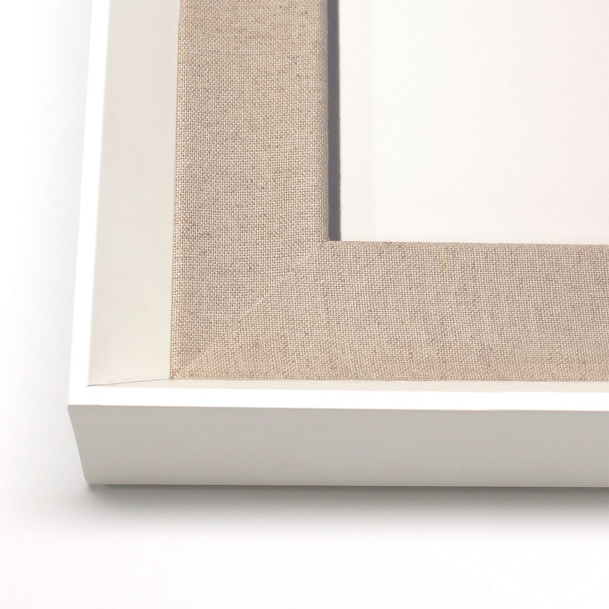 Natural Curiosities Historical Botanicals Art Series 2, No. 2