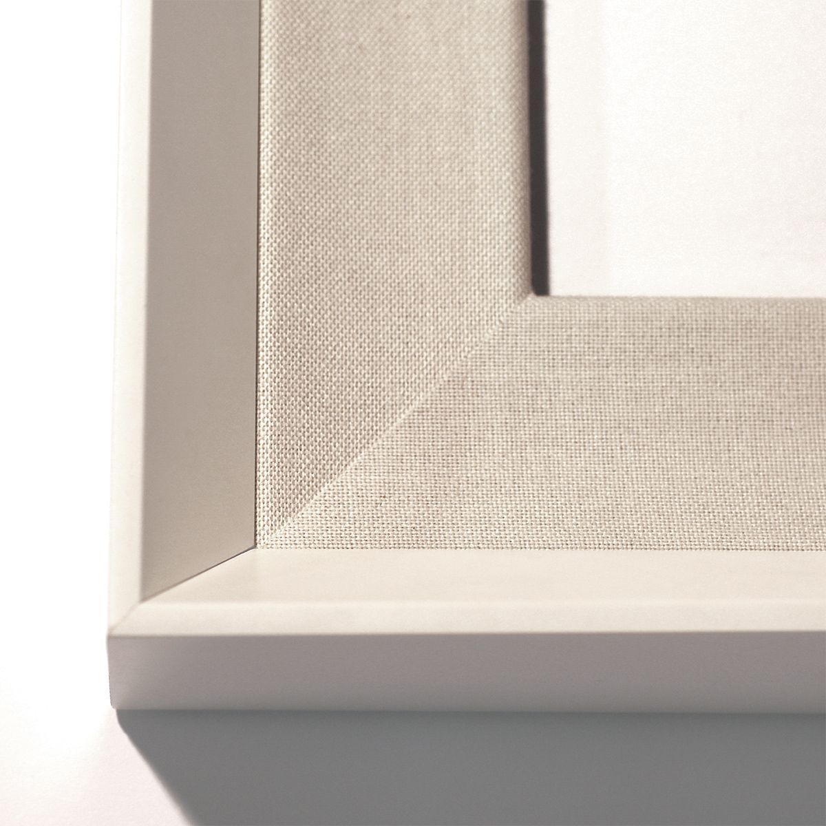 Natural Curiosities Modern Paradise, Modern Flower Pop II