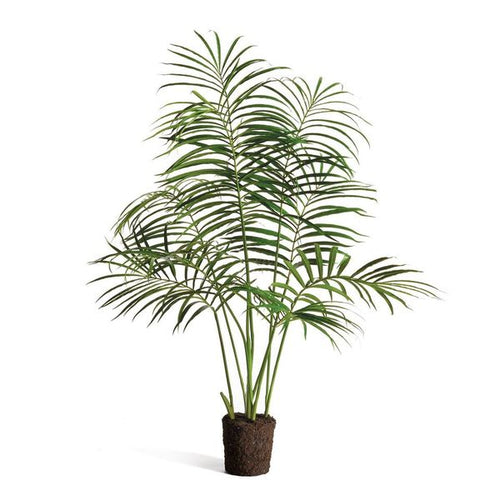 Palm Tree Drop In 50"