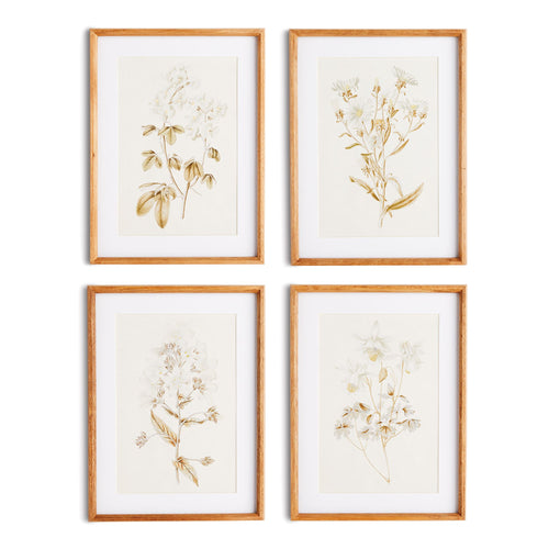 Fleur De Blanc Prints, Set Of 4