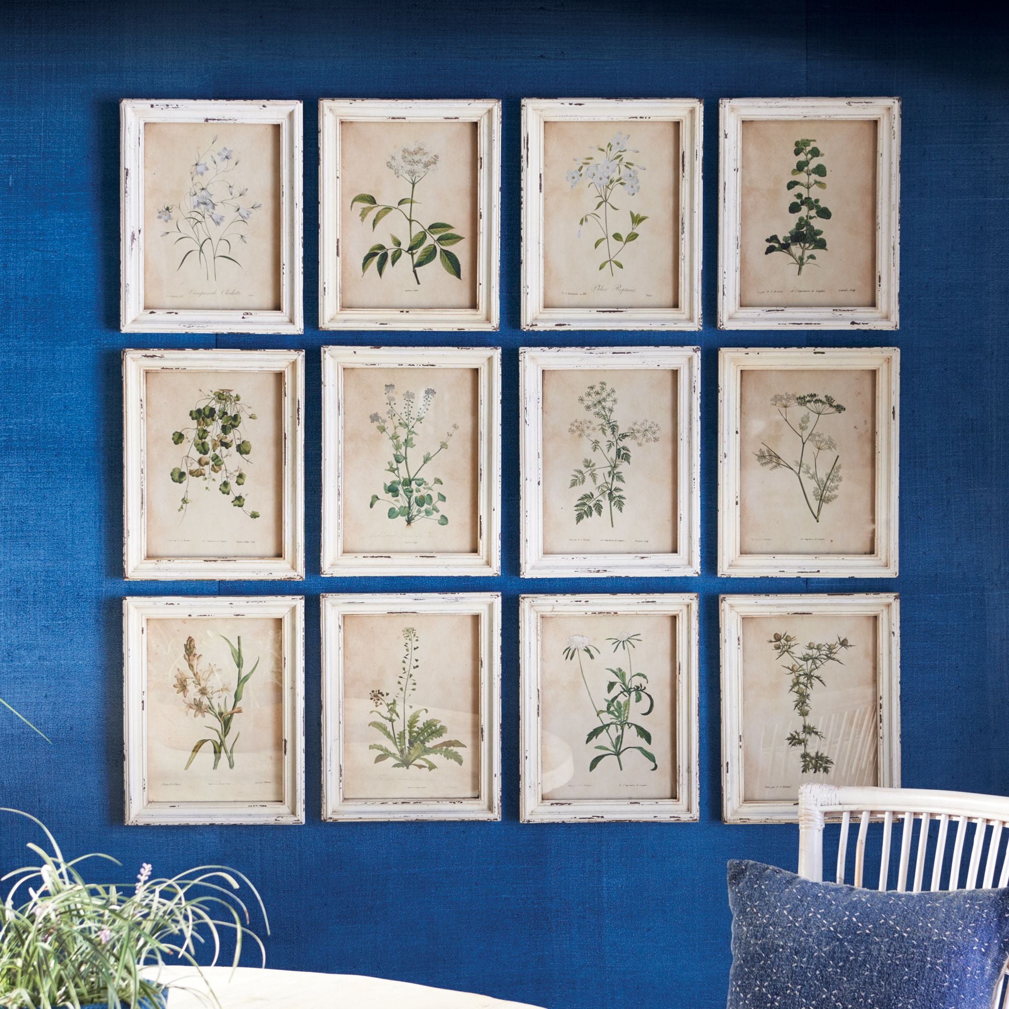 Framed Wild Flower Botanical Prints, Set Of 12