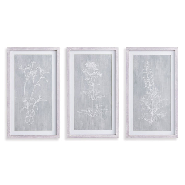 Sketched Botanical Prints, Set Of 3