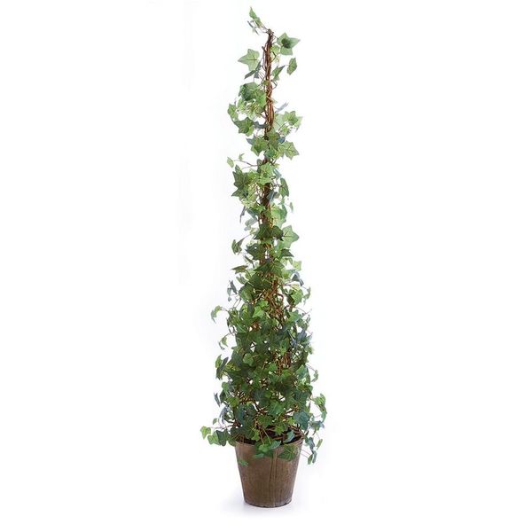 Ivy Cone Topiary Potted 62"