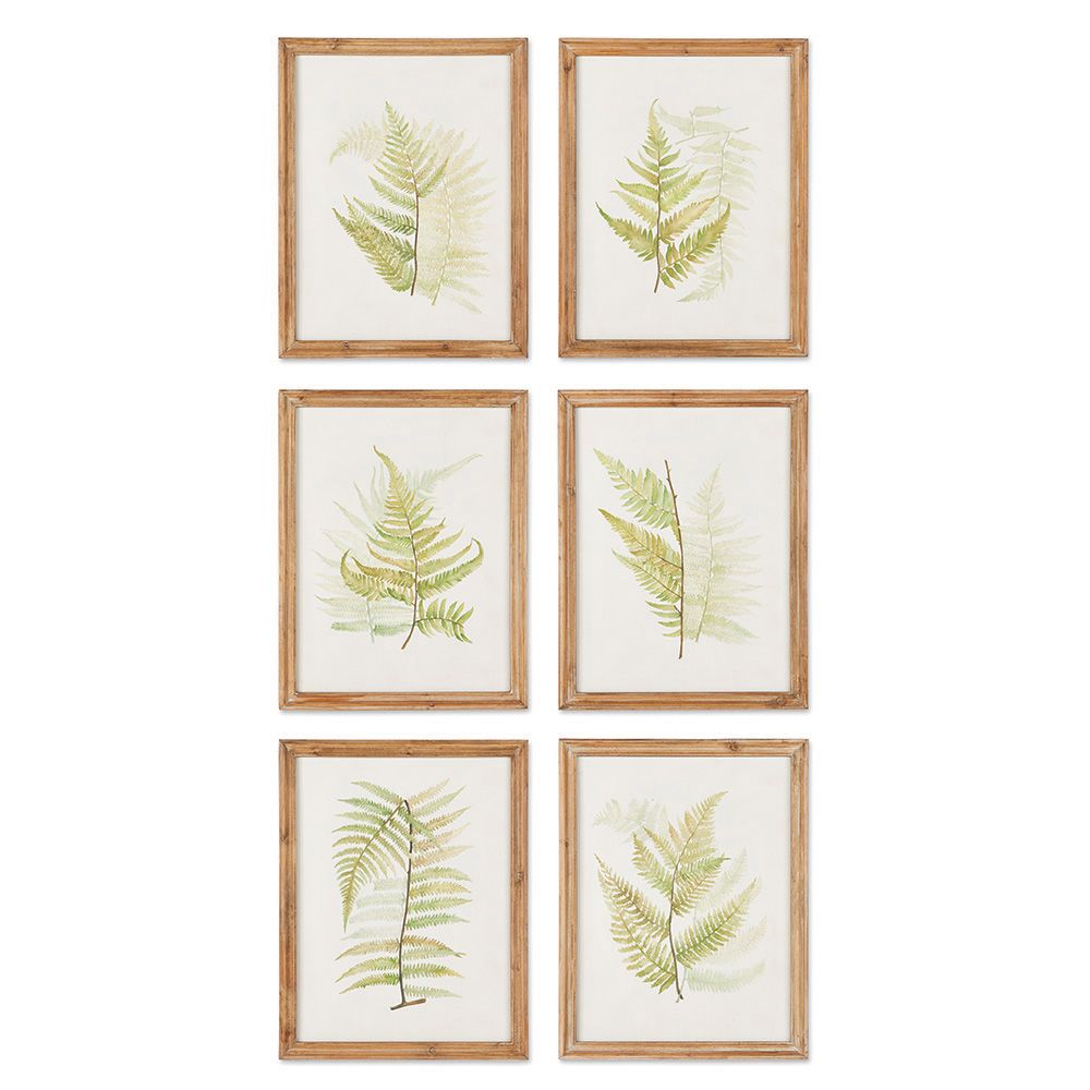 Framed Coral Watercolor Prints, Set Of 4