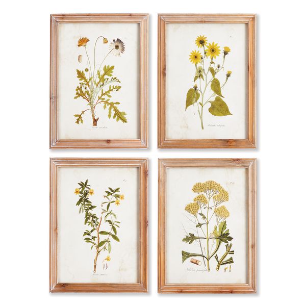 Golden Wildflower Study St/4