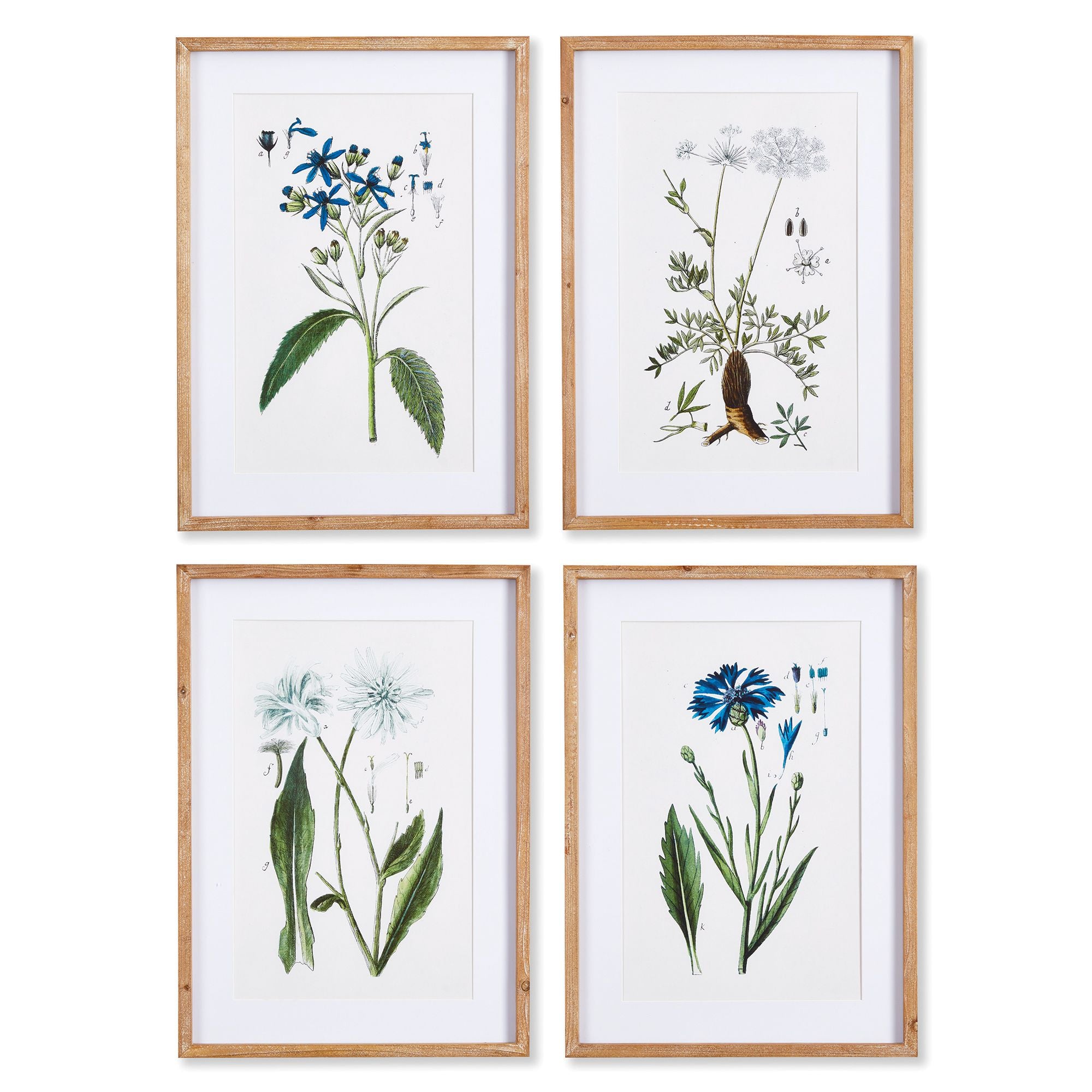 Mountain Botanical Prints St/4
