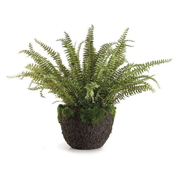 Grand Boston Fern Drop In 30"