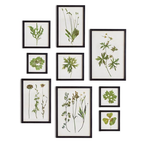Design Shop Foliage Prints Set of 9