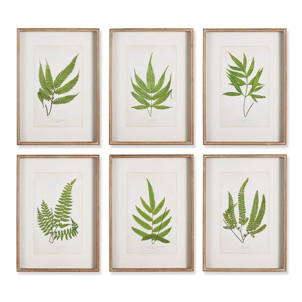 Forest Greenery Prints, Set Of 6