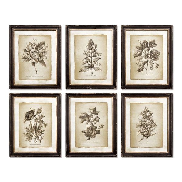Framed Vintage Floral Prints, Set Of 6