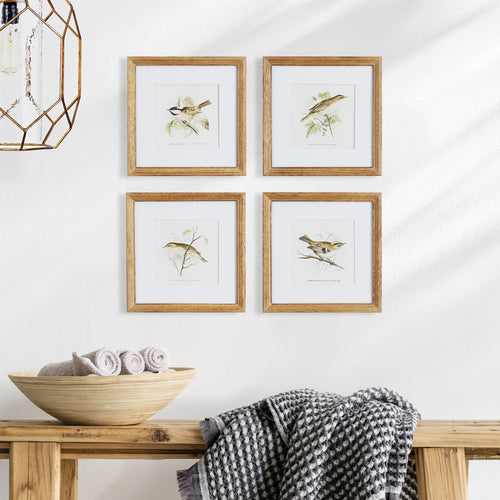 Perching Bird Study Petite, Set Of 4