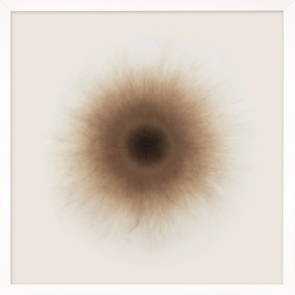 Natural Curiosities Fire Eyes 2