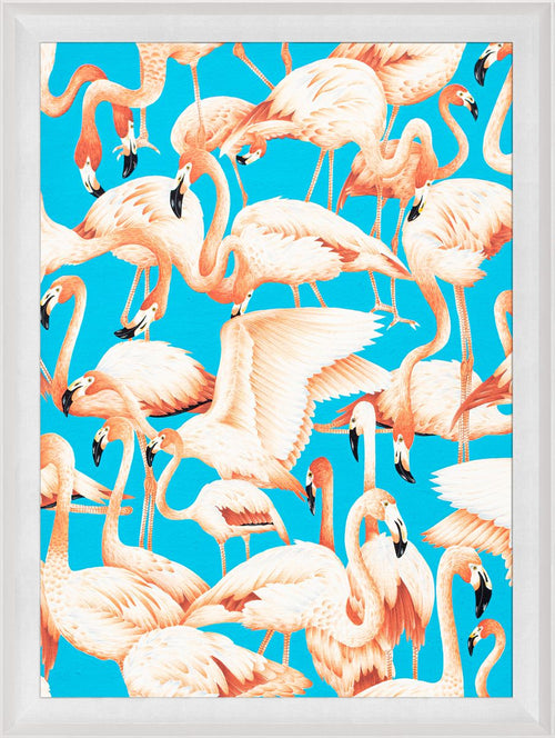 Natural Curiosities Modern Paradise, Flamingos