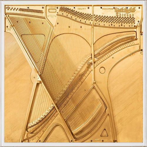 Piano Interior by Natural Curiosities