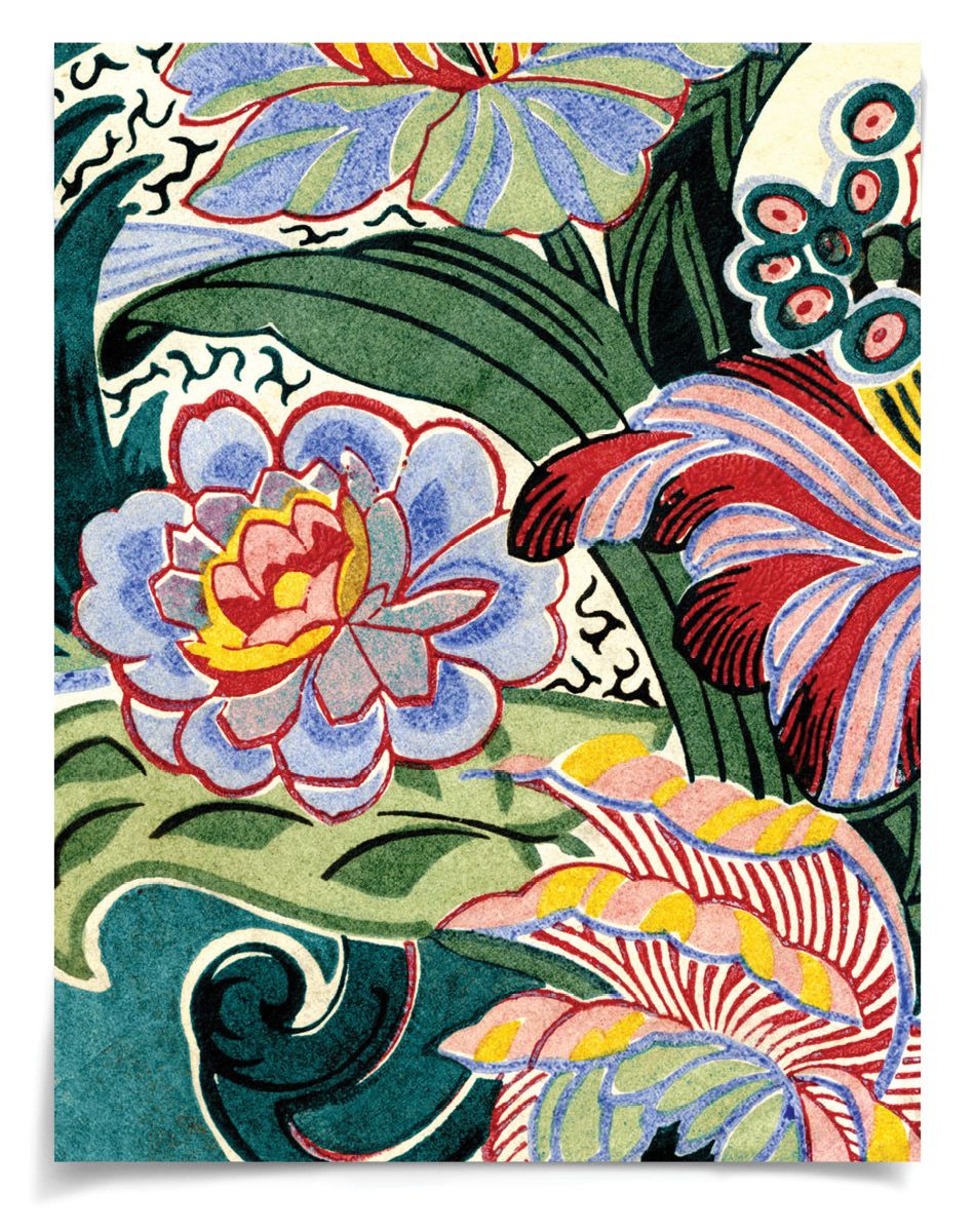 Natural Curiosities Pignier Carouselle 2 Art