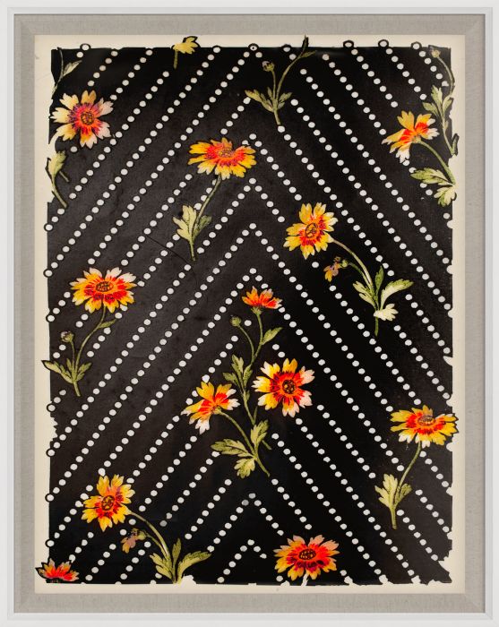 Natural Curiosities Art, Pignier Chevron