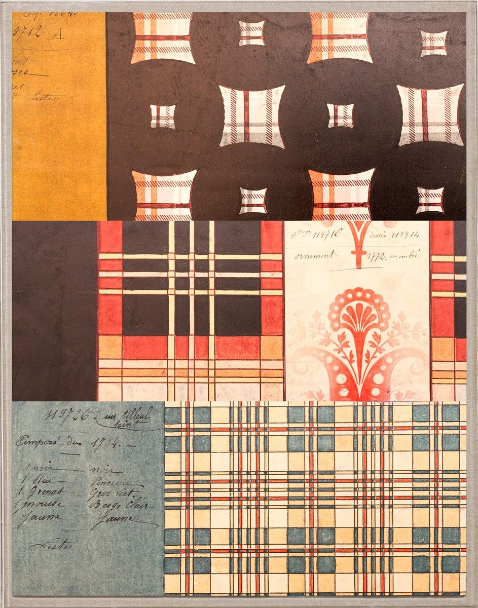 Natural Curiosities Pignier, Compose 1 Art