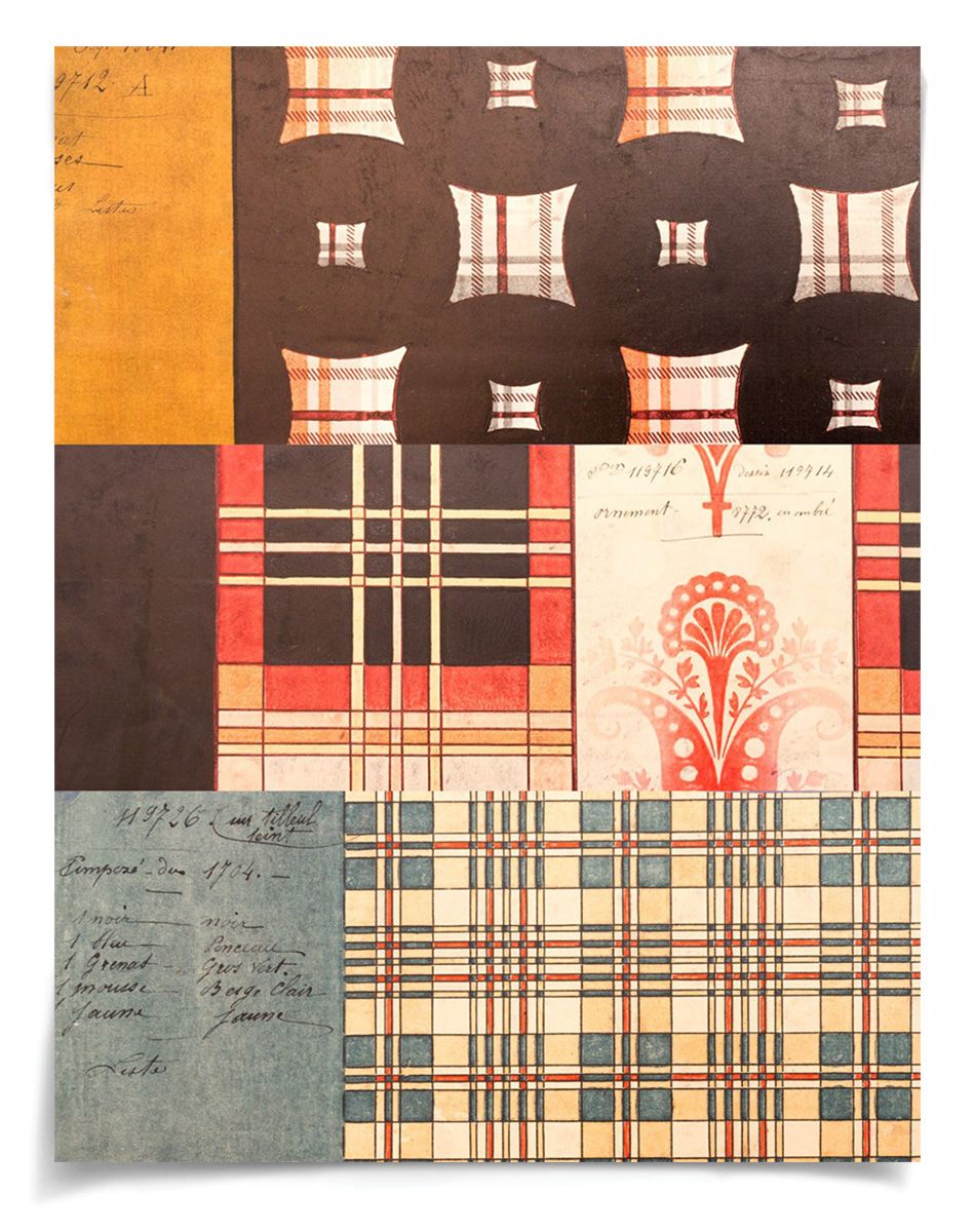 Natural Curiosities Pignier, Compose 1 Art