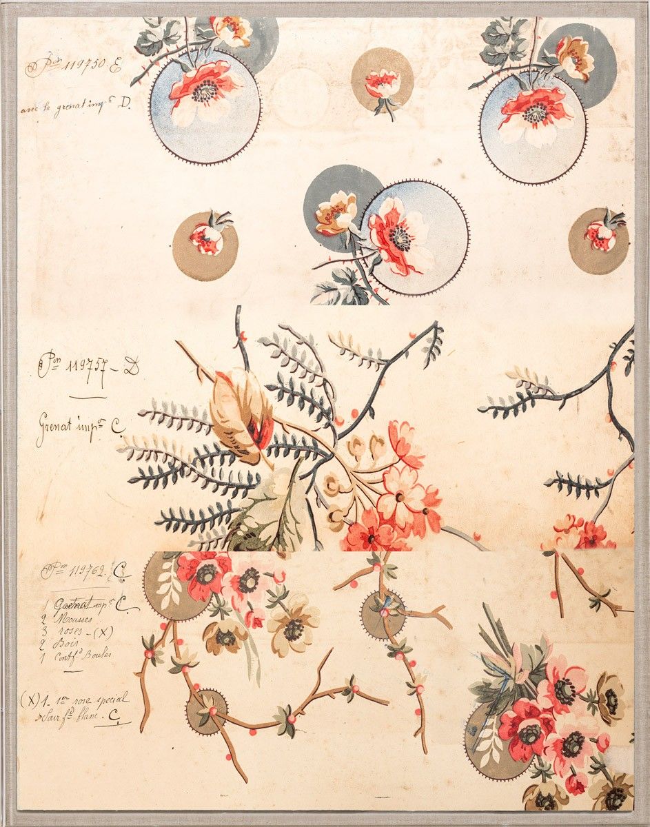 Natural Curiosities Pignier, Compose 2 Art