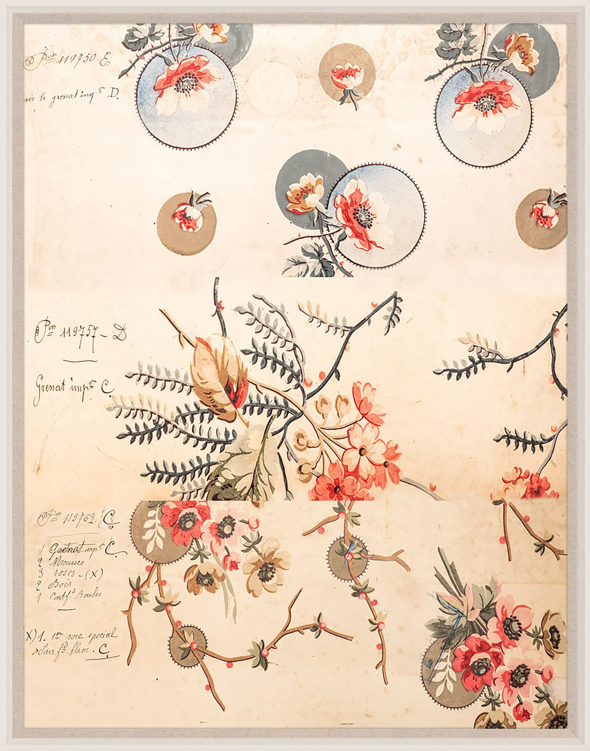 Natural Curiosities Pignier, Compose 2 Art