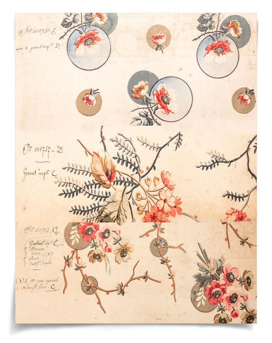 Natural Curiosities Pignier, Compose 2 Art