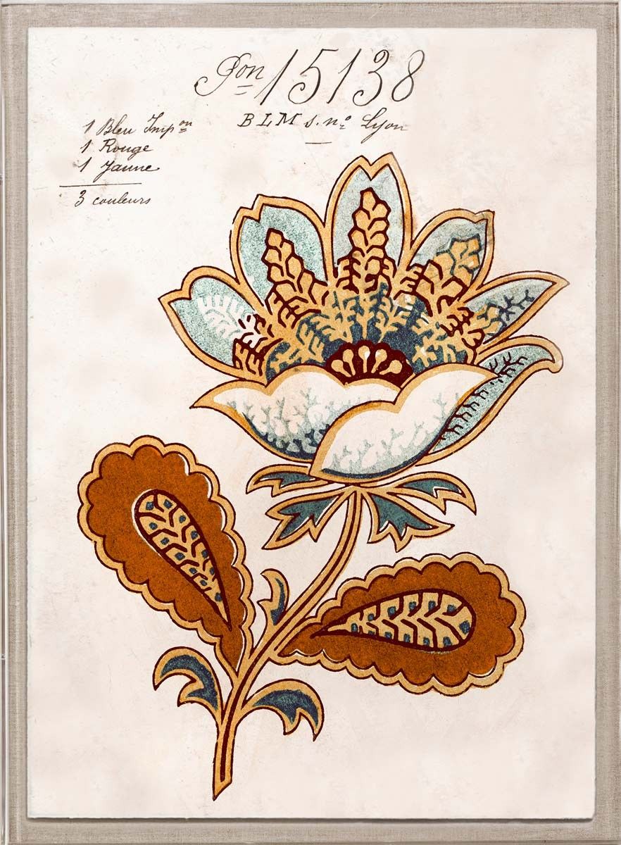 Natural Curiosities Art, Pignier Fleurs Art