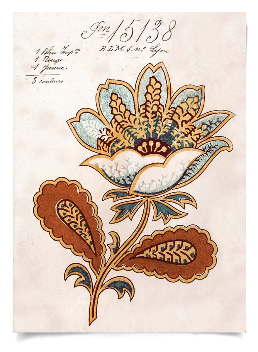 Natural Curiosities Art, Pignier Fleurs Art