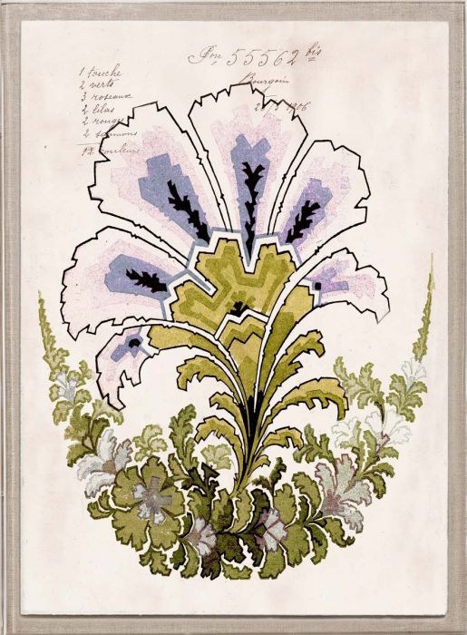 Natural Curiosities Art, Pignier Fleurs Art