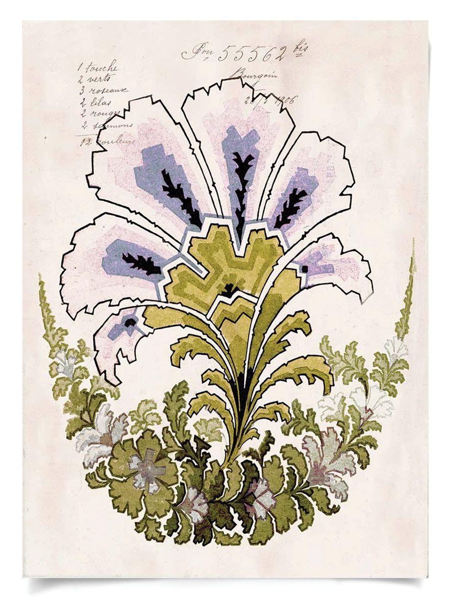 Natural Curiosities Art, Pignier Fleurs 2