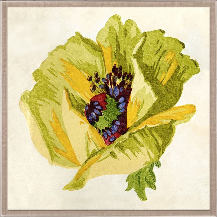 Pignier Flowerhead Art by Natural Curiosities