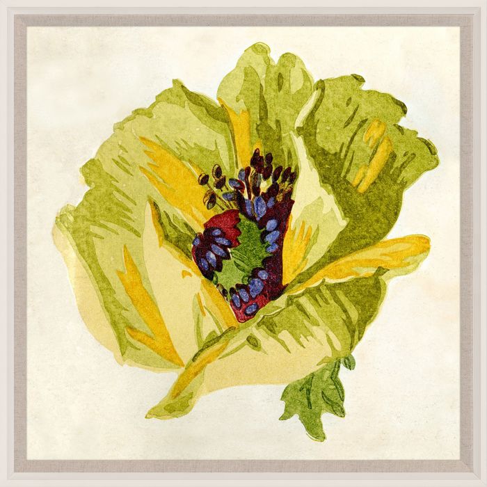 Natural Curiosities Pignier Flowerhead Art