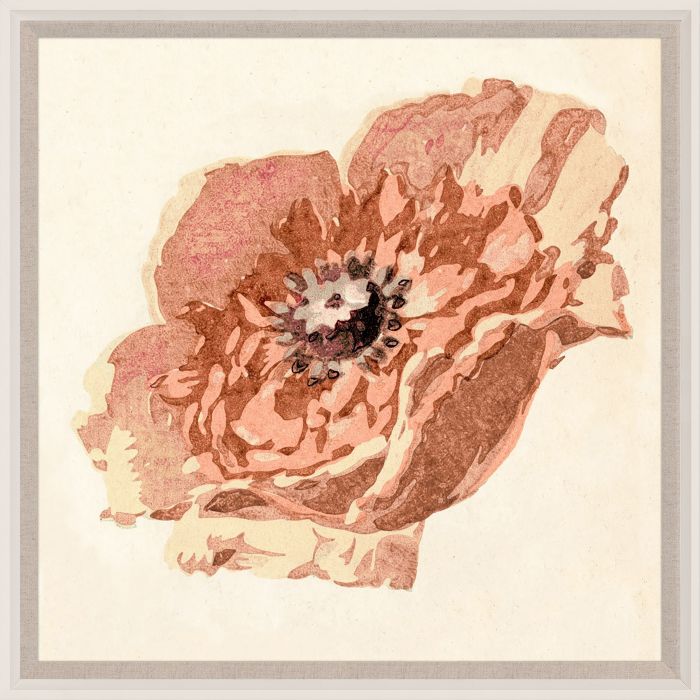 Natural Curiosities Pignier Flowerhead Art