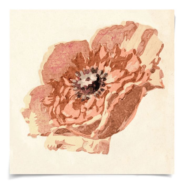 Natural Curiosities Pignier Flowerhead Art