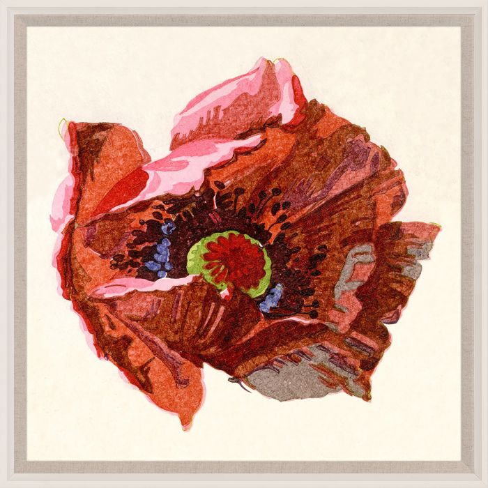 Pignier Flowerhead Art by Natural Curiosities