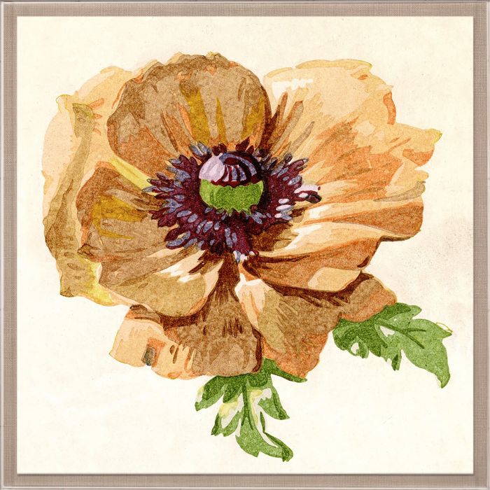 Natural Curiosities Pignier Flowerhead Art