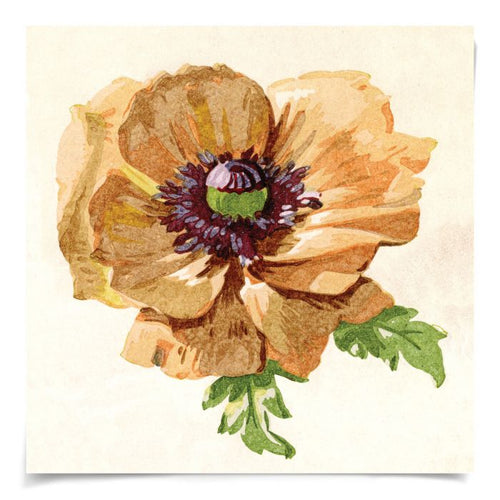 Pignier Flowerhead Art by Natural Curiosities