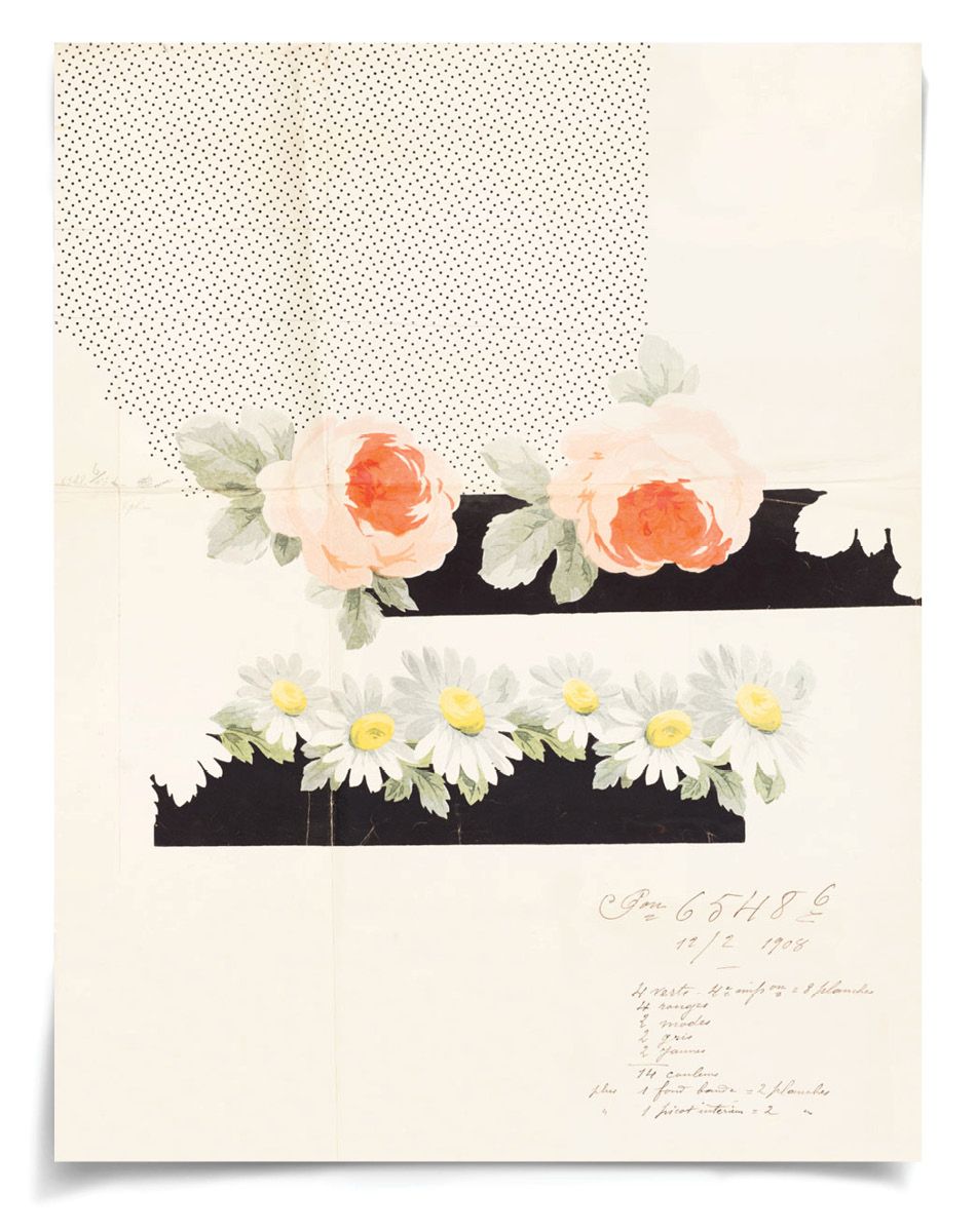 Natural Curiosities Pignier Grenoble 2 Art