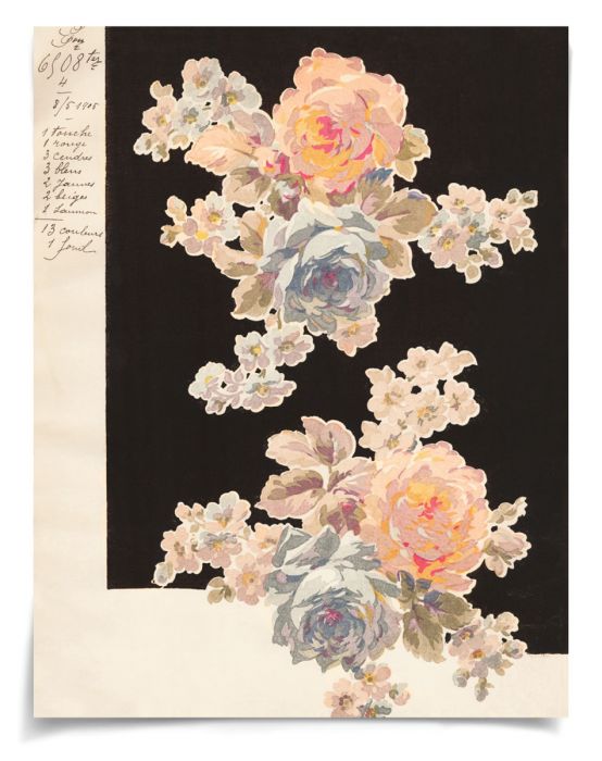 Natural Curiosities Pignier Lille 1 and 2 Art