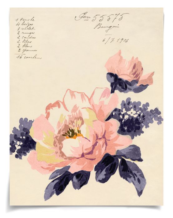 Natural Curiosities Pignier Lillie Art