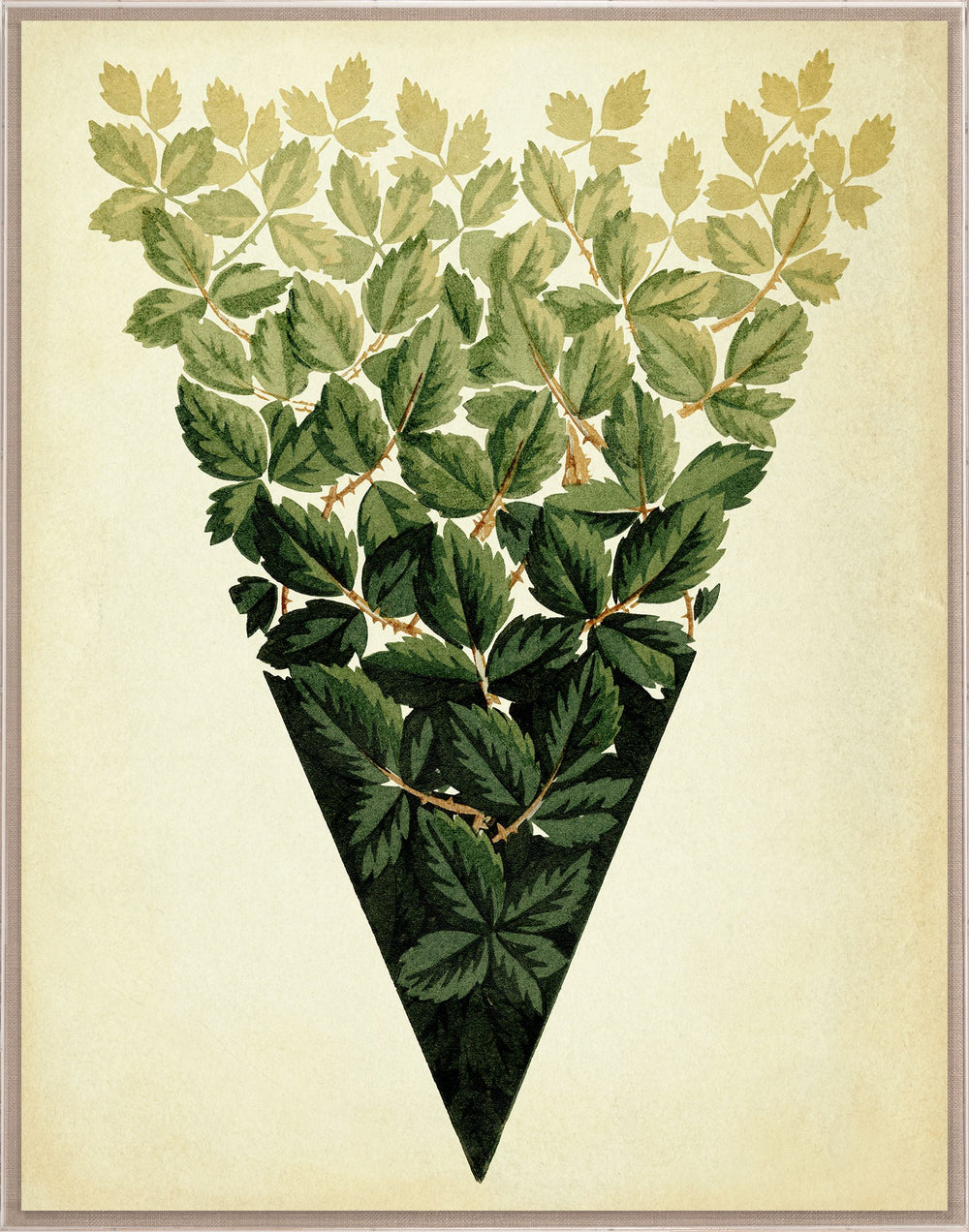 Natural Curiosities Pignier Lyon Art